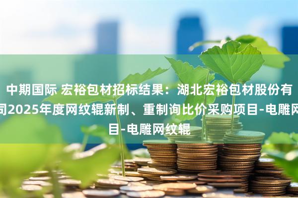 中期国际 宏裕包材招标结果：湖北宏裕包材股份有限公司2025年度网纹辊新制、重制询比价采购项目-电雕网纹辊