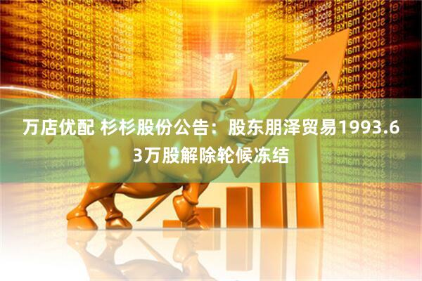 万店优配 杉杉股份公告：股东朋泽贸易1993.63万股解除轮候冻结